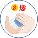 洗手五五步驟-搓 洗手五步驟-搓